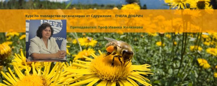 Курс по пчеларство в Добрич организирано от Сдружение "Пчела Добрич"