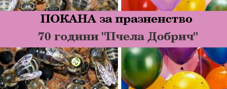 Сдружение "Пчела Добрич" организира празненство по случай "70 години Пчела Добрич"
