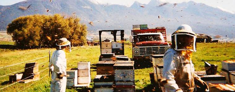 Пчеларска ферма - 1 (Симеон Николов)