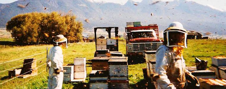 Пчеларска ферма - 2 (Симеон Николов)