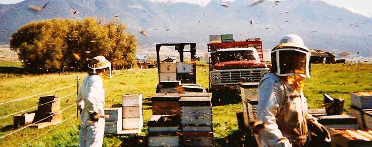Пчеларска ферма - 3 (Симеон Николов)