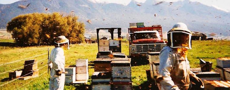 Пчеларска ферма - 5 (Симеон Николов)