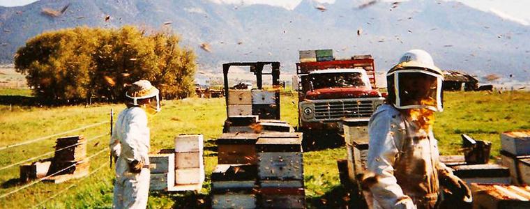 Пчеларска ферма - 7 (Симеон Николов)