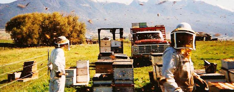 Пчеларска ферма - 9 (Симеон Николов)