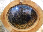 Пчела Добрич на изложение в Истанбул